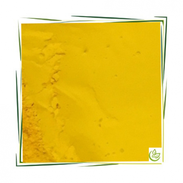 Pigment Yellow 1 - 10 g